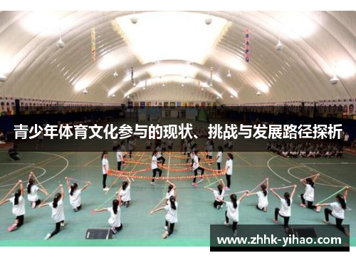 青少年体育文化参与的现状、挑战与发展路径探析