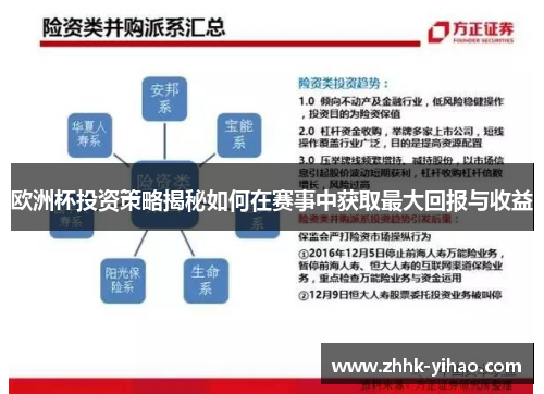 欧洲杯投资策略揭秘如何在赛事中获取最大回报与收益