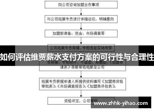 如何评估维贾薪水支付方案的可行性与合理性