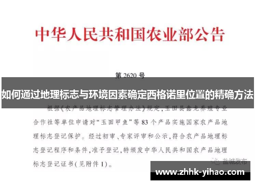 如何通过地理标志与环境因素确定西格诺里位置的精确方法